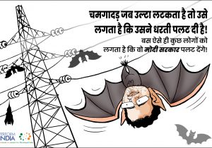 चमगादड़!